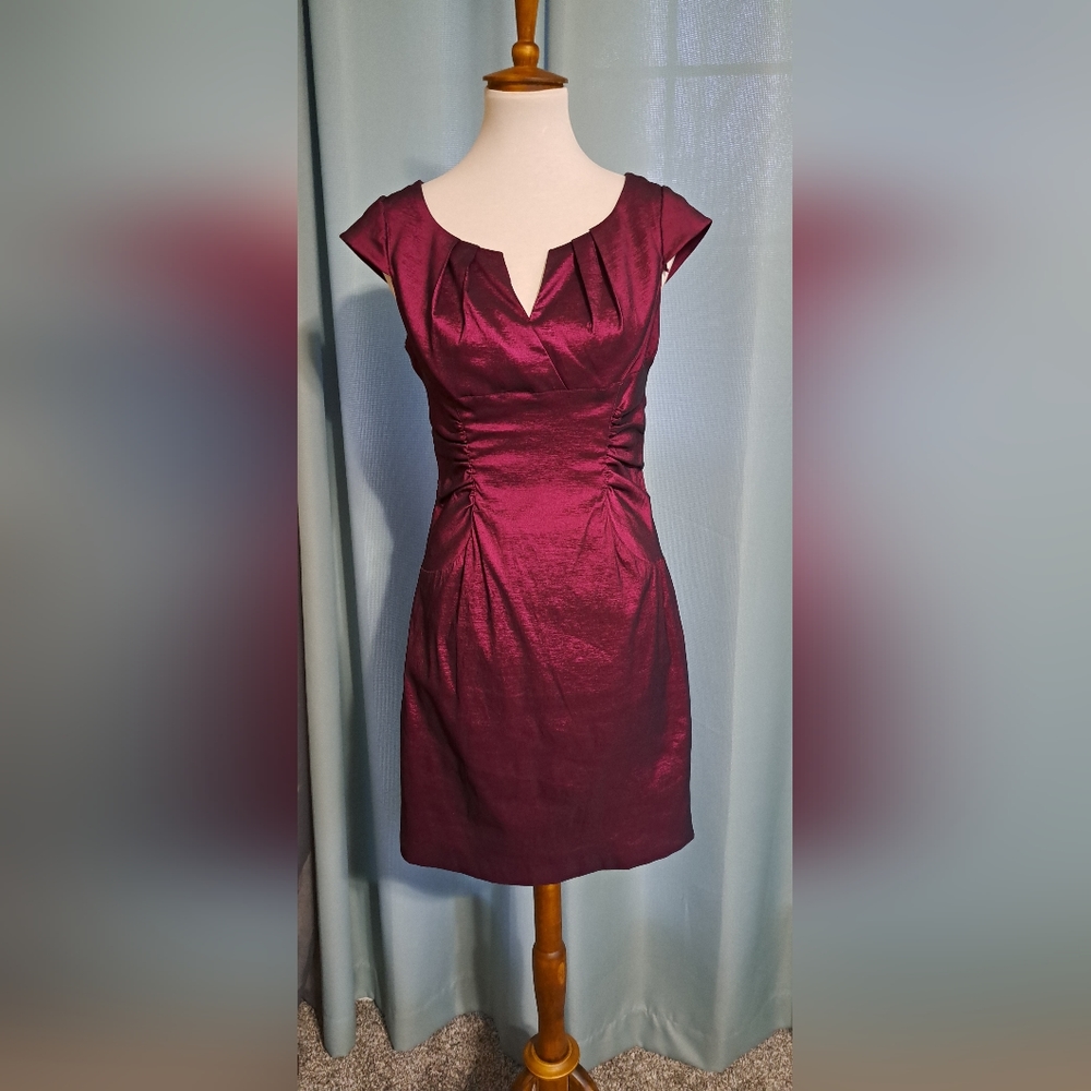 Cranberry Wine Taffeta Rouched waist dress Dressbarn Collection Size 10